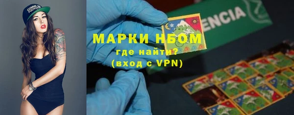 стаф Баксан