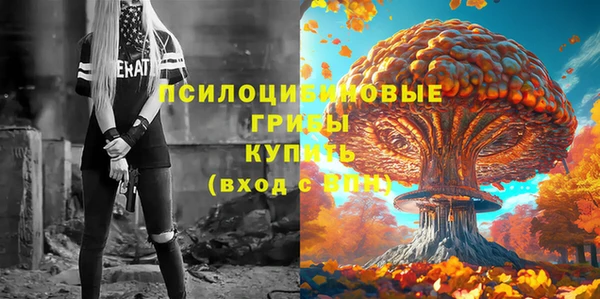 стаф Баксан