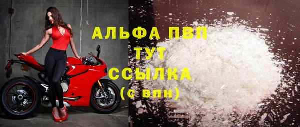 стаф Баксан