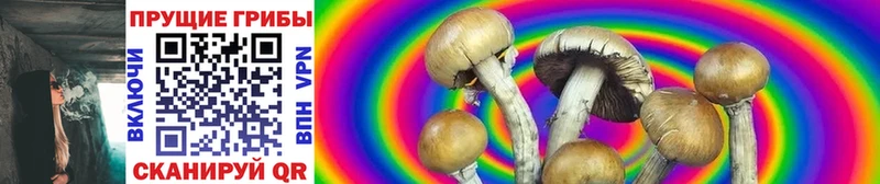 ОМГ ОМГ зеркало  купить  сайты  Малмыж  Галлюциногенные грибы Magic Shrooms 